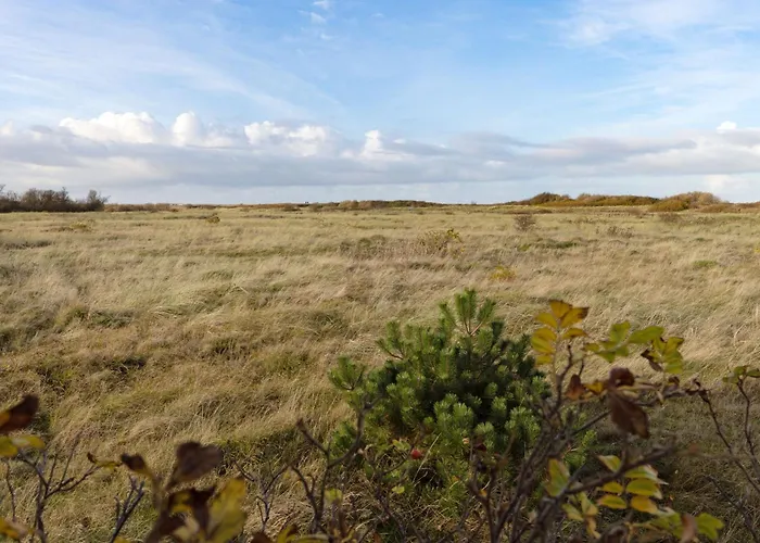 Sea Breeze Appartement List